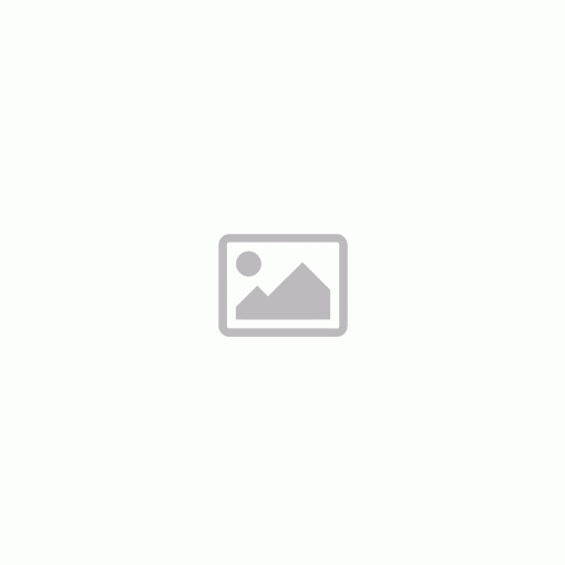 TIGE4616 NAGMACHON DOGHOUSE-LATE APC makett